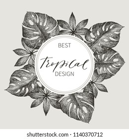 Tropical palm leaves. Jungle round illustration with monstera, aralia leaves. Design template. High detailed botanical sketch. Vector illustration