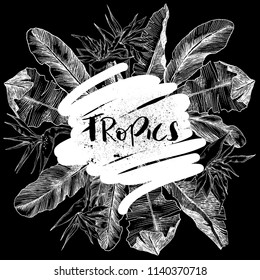 Tropical palm leaves. Jungle round illustration with monstera, aralia banana leaves. Design template. High detailed botanical sketch. Vector illustration chalkboard style