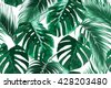 exotic leaves background
