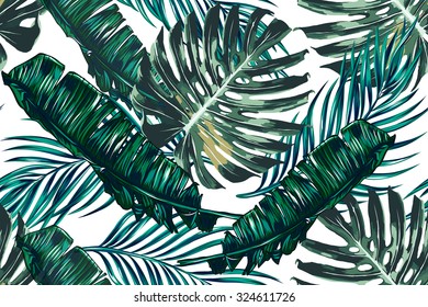 Tropical palm leaves, jungle leaves seamless vector floral pattern background