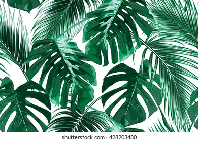 Tropical palm leaves, jungle leaves seamless vector floral pattern background - Shutterstock ID 428203480