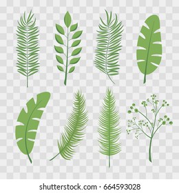 Tropical palm leaves and jungle leaves. Set of vector trendy illustrations isolated on transparent checkered