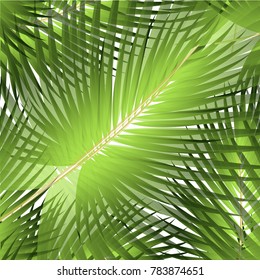 Tropical palm leaves, jungle leaves. Vector floral seamless pattern background.