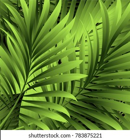 Tropical palm leaves, jungle leaves. Vector floral pattern background.