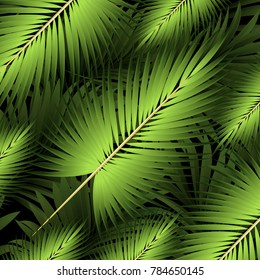 Tropical palm leaves, jungle leaves. Vector floral pattern background.
