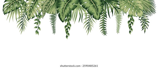 Tropical palm leaves, liana botanical border. Exotic jungle banner.