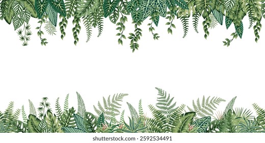 Tropical palm leaves, liana, fern, plants botanical seamless border. Exotic jungle banner.