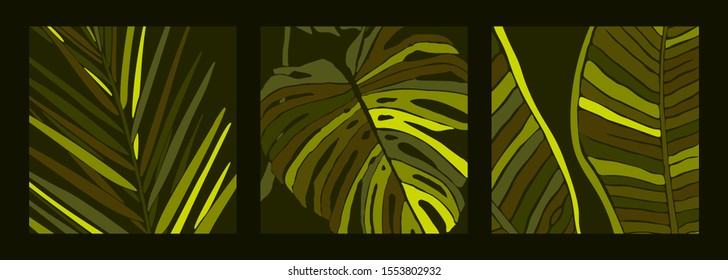 Tropical Palm Leaves in a minimalist trendy style. Silhouette of a plant banana, monstera and Dypsis in a contemporary abstract style. Vector illustration collage. For card, poster, social media