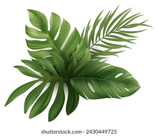 Hojas de Palma Tropical. Hoja de planta de Monstera. Ilustración vectorial