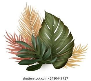 Tropical Palm Leaves. Monstera Plant Leaf. Vector Illustration