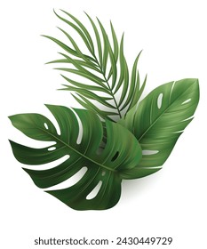 Tropical Palm Leaves. Monstera Plant Leaf. Vector Illustration