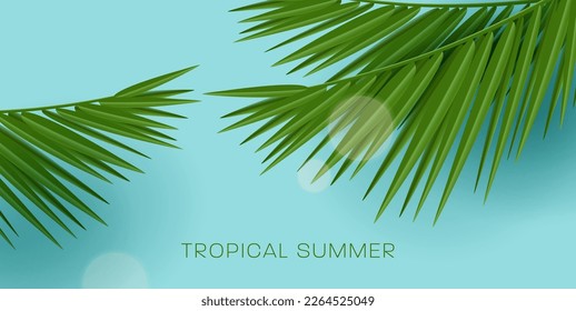 Tropical palm leaves on bright blue backdrop with sup flare rays, summer vacation background