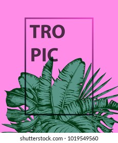 Tropical palm leaves on pink background. Minimal nature summer concept. Flat lay. Trendy Summer Tropical Leaves Vector Design