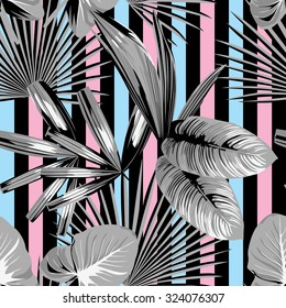tropical  palm leaves pattern, striped background
