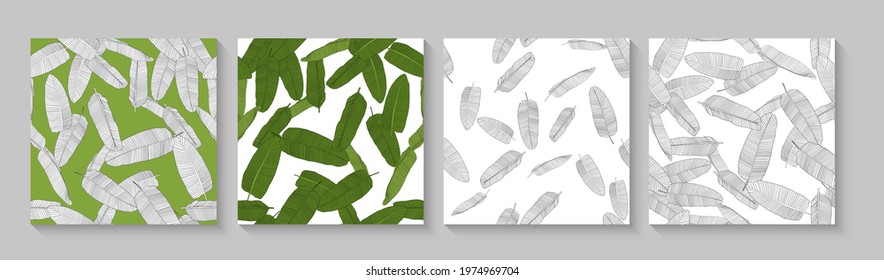 Tropical Palm Leaves Seamless Pattern Collection Set Background. Vector Illustration EPS10