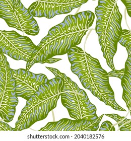Tropical palm leaves seamless pattern isolated on white background. Jungle leaves botanical wallpaper. Foliage backdrop. Design for fabric , textile print, wrapping, cover. vector illustration.