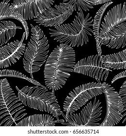 Tropical Palm Leaves Seamless Pattern. Exotic Jungle Background. Hand Drawn Black and White illustration.