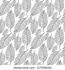 Hojas tropicales de palma sin costura vectorial de fondo de jungla floral