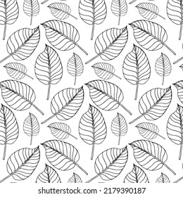 Tropical palm leaves seamless vector floral jungle background