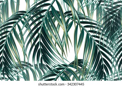 Tropical Palm Leaves Seamless Vector Floral Pattern Background