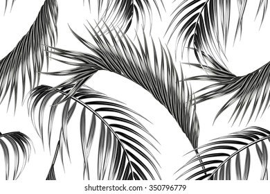 Folhas de palmeira tropical sem costura vector floral selva de fundo