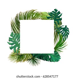 Tropical palm leaves set, drawn vector collection. Isolated on white background. Decorative elements, botanical pattern.