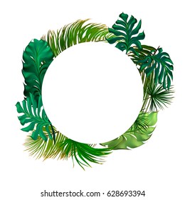 Tropical palm leaves set, drawn vector collection. Isolated on background. Decorative elements, botanical pattern. Trendy Card for invitation, greetings, sale promotion, wedding.