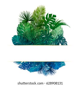 Tropical palm leaves set, drawn vector collection. Isolated on background. Decorative elements, botanical pattern. Trendy Card for invitation, greetings, sale promotion, wedding, banner.