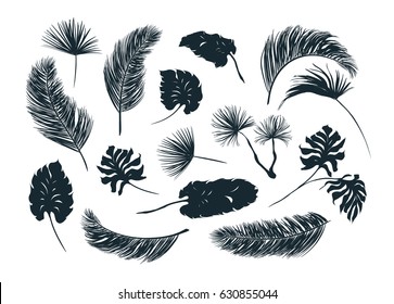 Tropical palm leaves set, drawn vector collection. Isolated on white background. Decorative elements, botanical pattern. Trendy black collection for design.