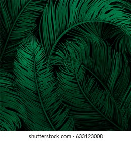 Tropical palm leaves set, drawn vector collection. Isolated on black background. Decorative elements, botanical pattern. Drawn Trendy pattern, watercolor design.