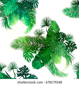 Tropical palm leaves set, drawn vector collection. Isolated on white background. Decorative elements, modern poster, wedding botanical pattern, vacation illustration.