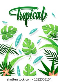 Tropical palm leaves set isolated on white background. Vector illustration