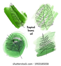 Tropische Palmenblätter auf hellblauem Hintergrund. Handgezeichnete Äste und Blätter für Muster, Logo, Banner. Monstera, Palmen, Banane, Synadenium. Vektorgrafik