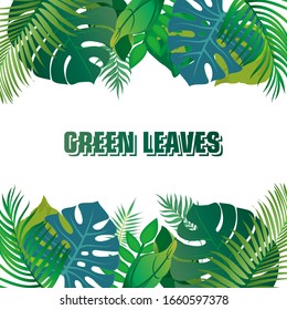 Tropical palm leaves. Set of vector trendy illustrations isolated on white background.