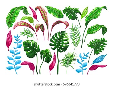 Tropical palm leaves. Set of vector hand drawn jungle leaves in trendy style isolated on white background.