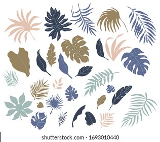 Tropical palm leaves. Spring rainforest leaf.