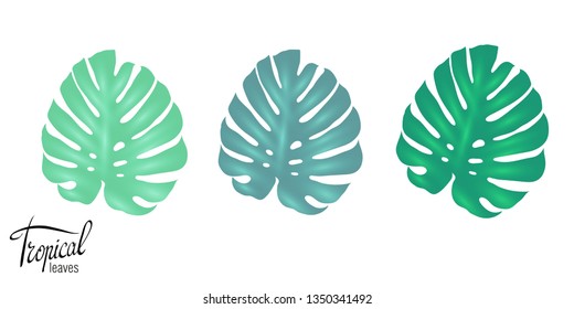 Tropical palm leaves. Summer set. Suitable for banner, advertising, Wallpaper, textiles, greeting cards, cosmetics label, background for holidays: birthday, wedding, party