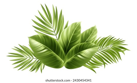 Tropical Palm Leaves. Palm Tree Plant Leaf. Vector illustration