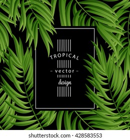 tropical palm leaves tropic leaf green summer frame square