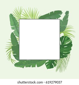 Tropical palm leaves vector frame design.