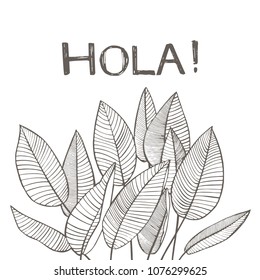 Tropical palm leaves. Vector illustration. Engraved jungle leaves. Lettering phrase - Hola.