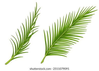 Tropical palm leaves vector set. Hand drawn cartoon illustrations of  exotic palm branches. Coconut leaves. Graphic print for greeting cards, beauty products, package design, invitations, sale posters