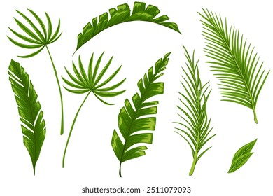 Conjunto de Vector de hojas de palma tropical. Dibujado a mano ilustraciones de dibujos animados de ramas de palma exótica. Impresión gráfica para tarjetas de felicitación, productos de belleza, diseño de paquetes, invitaciones, carteles de venta