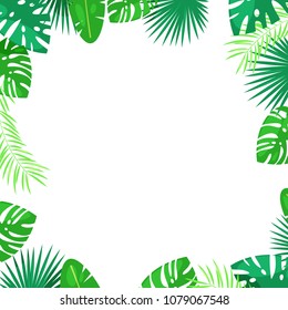 Tropical palm leaves vector square frame. White background with place for text. Jungle exotic plants, summer cartoon illustration.