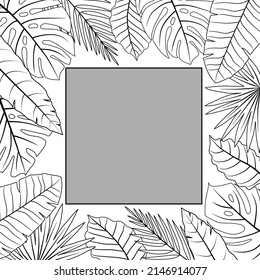 Tropical palm leaves vector square frame. Sketch hand drawn illustration of jungle exotic plants