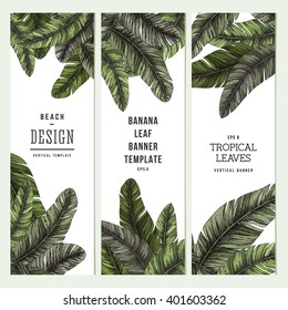 Tropical palm leaves. Vertical banner set. Vector illustration