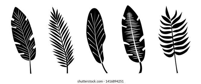 Tropical palm leaves.Vector set of black handdrawn silhouettes isolated on white background.Perfect for cards, web, backgrounds and natural product. 