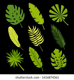 Tropical palm leaves.Vector set isolated on black background.Perfect for cards, web, backgrounds and natural product.