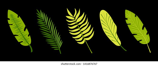 Tropical palm leaves.Vector set isolated on black background.Perfect for cards, web, backgrounds and natural product.