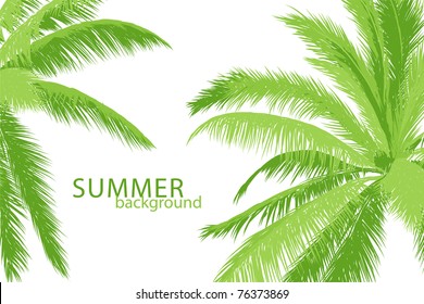 tropical palm in marine breaker and sunlight (vector illustration)